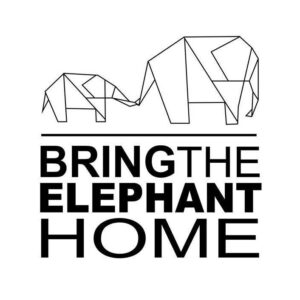 Geometric line art of two elephants above the words "Bring The Elephant Home"
