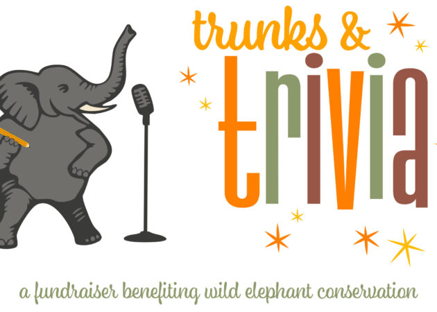 Trunks & Trivia: A Fundraiser Benefiting Wild Elephant Conservation
