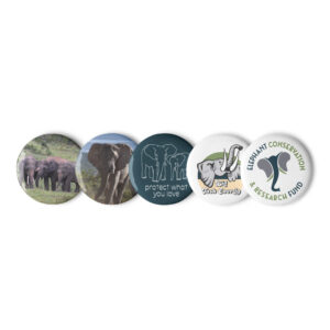 Set of pin buttons