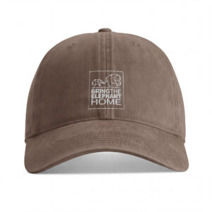 Bring The Elephant Home Sunwashed Cap | Vintage Cotton Twill Dad Hat